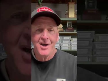 Bassmaster Disqualifying Everyone