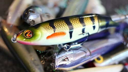 FISHING The WRONG TOPWATER Will Cost You Big Time
