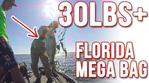 HUGE Winter Mega Bag ~30lbs+ Fishing for Bass