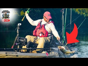 Spring Lure Breakdown – Best Baits for Big Bass