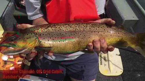 Catching big Trout