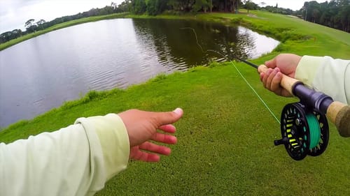 My First Time Ever Fly Fishing