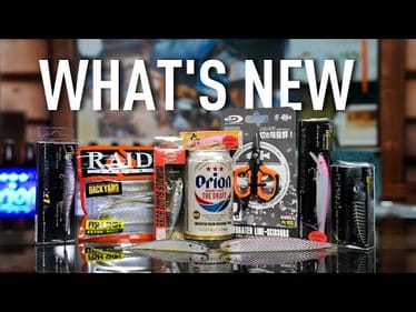 What's New This Week!!  4th of July Sale, Raid Super Fish Rollers, Custom Bento Box and more!