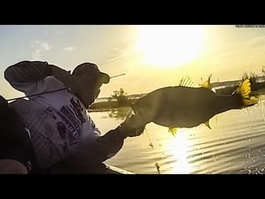 Bed Bass on Jerkbaits! Crochet Spawn Fishing Tips
