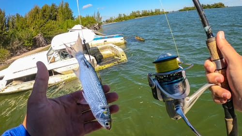 Fishing Abandoned Saltwater Islands With Live Bait