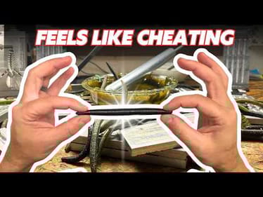 Mastering the Yamamoto Senko Copycat **Expert Tips for DIY Lure Making**