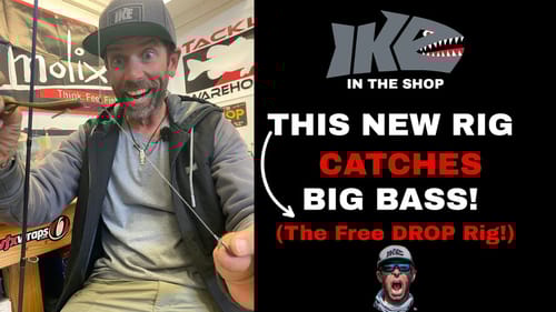 This NEW RIG Catches BIG BASS! (The Free Drop Rig)