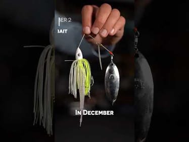 These are my top 5 picks for catching winter bass this month. Which one would you throw first?