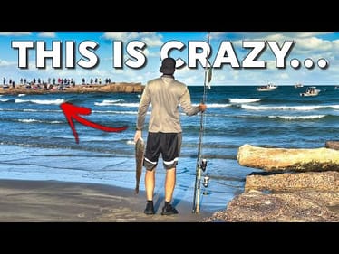 What happens when people find out about these fish? Jetty fishing frenzy