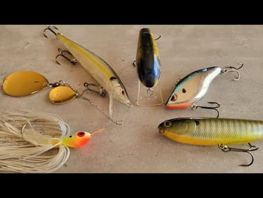 Top 5 Baits That Catch GIANT Smallmouth Bass! | Bass Fishing