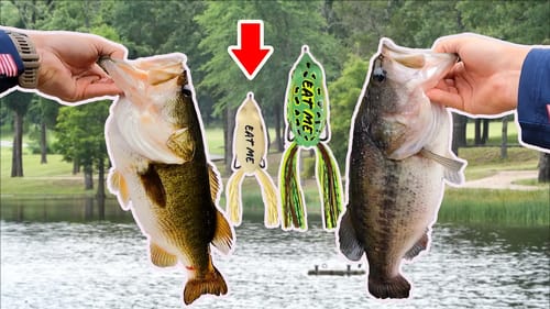 Mini Frog Fishing with Spinning Tackle!