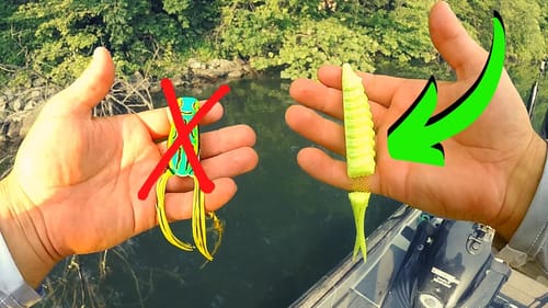 I Might NEVER Fish A FROG Again.... (The Bounty Fish)