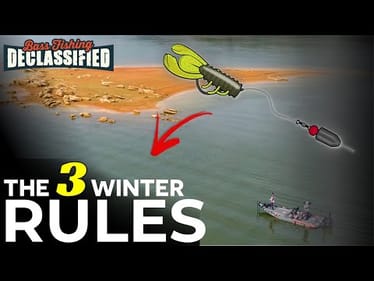 20 Years of Winter Carolina Rig Fishing taught me this...