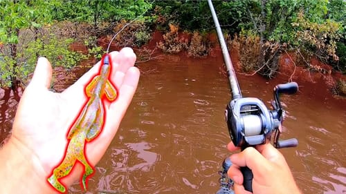 Bass Fishing INSANELY Flooded Lake!!! --FLIPPING Christmas Trees!
