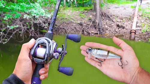 TOPWATER Fishing SMALL Ponds! (LOADED w/ Bass)