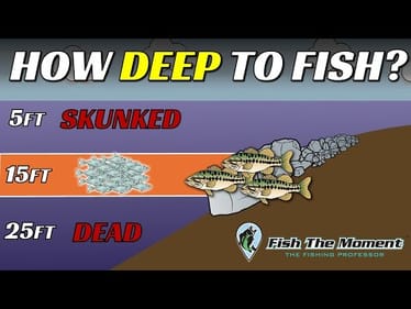 Eliminate 80% of Your Lake in 5 Minutes With This Winter Fishing Rule