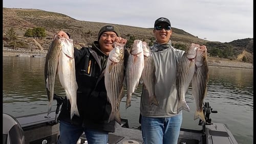 First Fishing Trip of the New Year! (Pyramid Lake, CA)