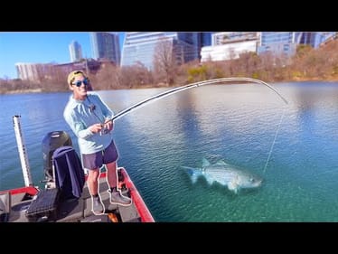 I Caught The Lady Bird Lake Monster! (Fishing Downtown Austin Texas)
