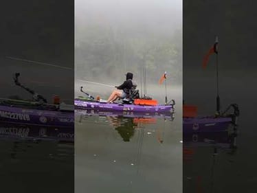 Foggy Mornings 😮‍💨