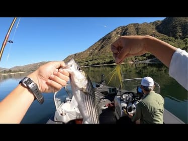 Trolling for Stripers Silverwood Lake