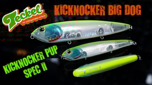 The Best Japanese Walking Bait On The Market Got Even Better! New Offerings From Teckel!!