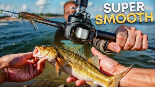 Why Do We Keep Catching This CRAZY Fish?!??! Shimano Curado M in ACTION!
