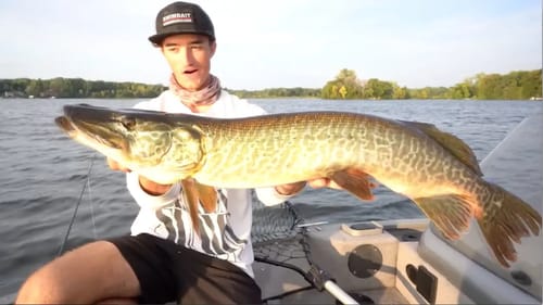 Catching Tiger Muskie On Big Swimbaits In Minnesota!? (New PB!)