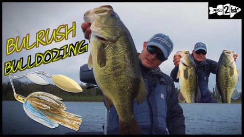 I CAUGHT HUGE PRESPAWN BASS Fishing Spinnerbaits in Late Winter and Early Spring