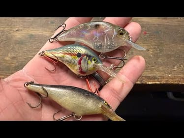 You’ll Average 3 and 4 Pound Bass With THIS January-March Cranking Technique…