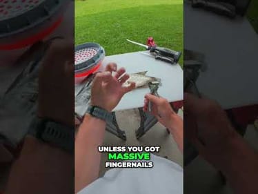 My Crappie Cleaning Routine