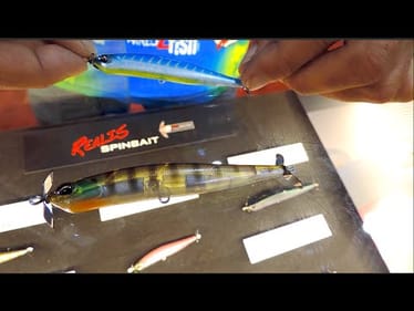 How Spybaiting Works -- ft. Duo Realis Pro Chris Jackson (iCast 2015)