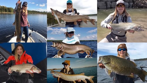 TOP 5 BIG FISH of 2019 - Ladybass