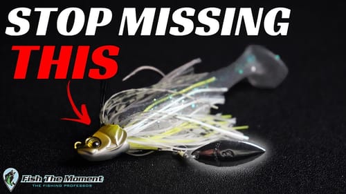 My New Go-To Offshore Bait in 2022