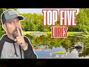 5 KILLER Lures That Dominated Bass Fishing This Year