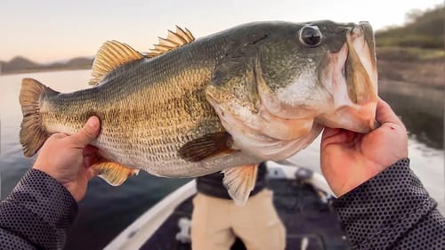 Is Bass Fishing In Mexico Worth It?