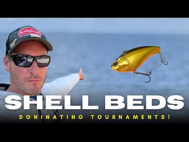This Structure Type Is Dominating Tournaments Right Now! Shell Beds!