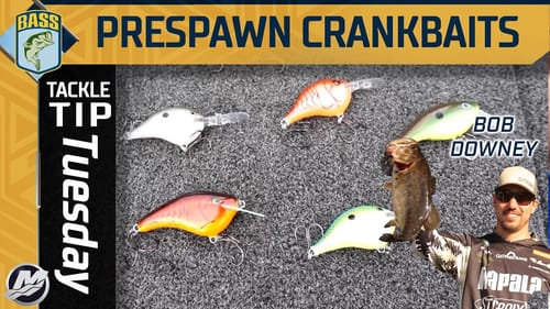 Crankbait selection for bass in the prespawn