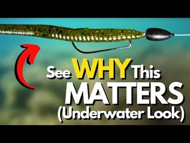 TWO Parts to a Texas Rig Retrieve We CANNOT Forget About (Underwater Look)