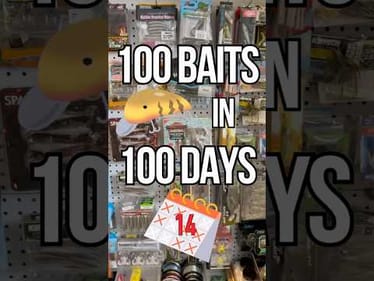 100 Baits In 100 Days - Day 14: The  Surface Low Rider Bait by Hot Lures #fishing