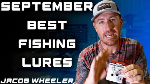 Baits of the Month September 2023 | Jacob Wheeler