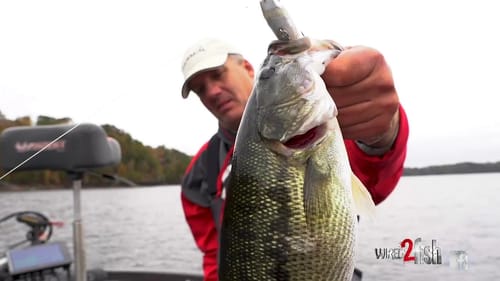 Catch Fish You Would Otherwise Miss with Real Time Sonar / Panoptix