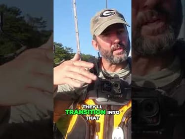 June Fishing Baits: Catch More Fish This Summer!