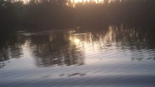 top water bass fishing