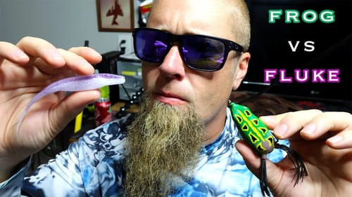FROG vs FLUKE CHALLENGE!!! Summertime BASS BAIT SHOWDOWN!