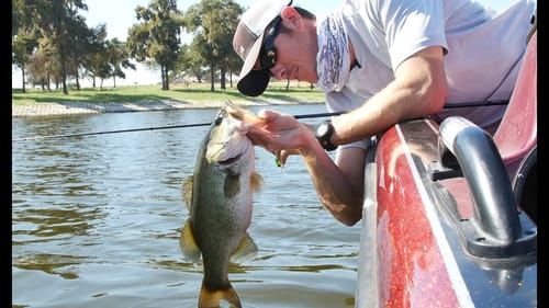 Bass Fishing Early Fall in Shallow Water
