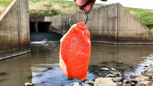 I Caught The Giant SPILLWAY BEAST!!!