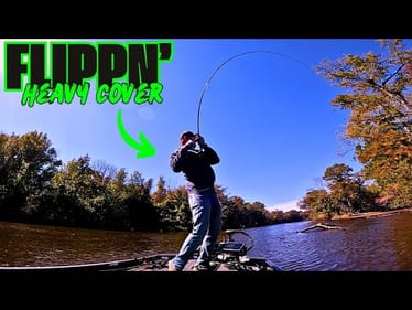 FLIPPIN WOOD In HEAVY CURRENT On a MUDDY River!! || Fall Bass Fishing