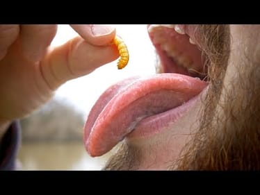 Ice Fishing 1 vs 1!! - LOSER EATS WAX WORM