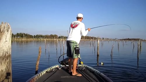Largemouth Bass 6 and 9lbers on Topwater at Lake Fork
