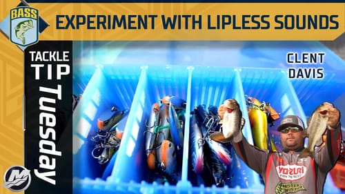 Experiment with different lipless sounds this winter